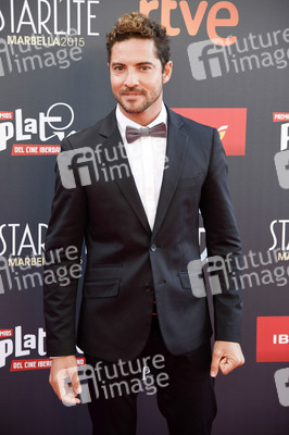 TNTLA Platino Awards 2015 Gala in Marbella