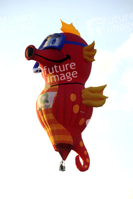 33. Quick Chek New Jersey Festival of Ballooning in Readington