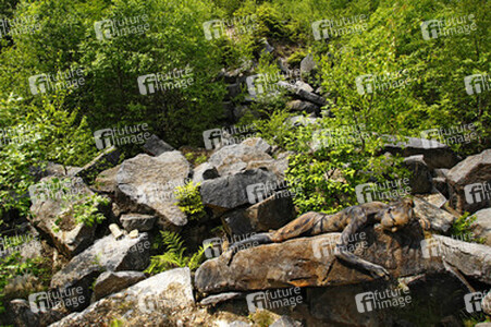NATURE ART: Steinbruch / Quarry