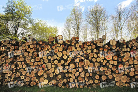 NATURE ART: Holzstoß / Woodpile