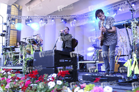 Lollapalooza Festival 2015 in Chicago