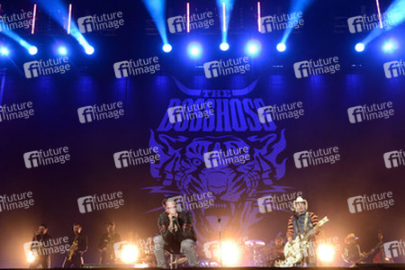 Wacken Open Air Festival 2015