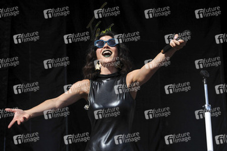 Lollapalooza Festival 2015 in Chicago