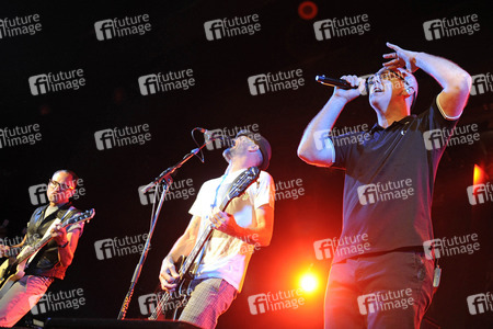 Konzert von Bad Religion in Hamburg