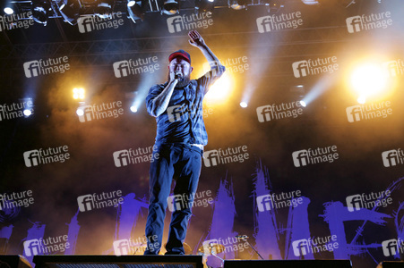 Elb-Riot Festival 2015 in Hamburg