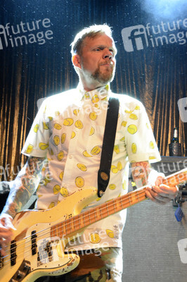 Konzert der Beatsteaks in Krefeld