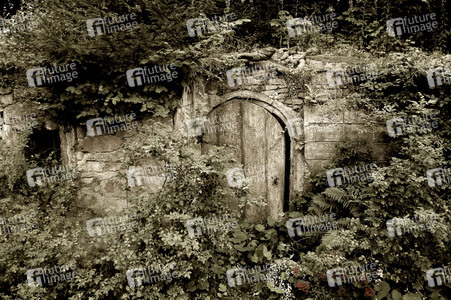 DOOR ART: Gewölbetor / Vault Gate Bodypainting