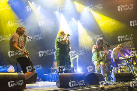 MS Dockville Festival 2015 in Hamburg