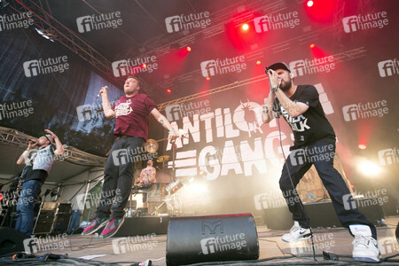 MS Dockville Festival 2015 in Hamburg