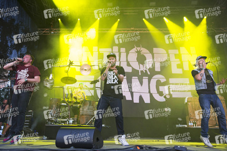 MS Dockville Festival 2015 in Hamburg