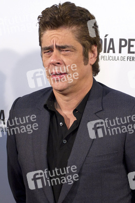 Photocall zu 'A Perfect Day' in Madrid