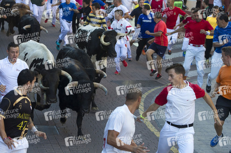 Sierlauf in San Sebastian de los Reyes