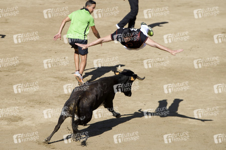 Sierlauf in San Sebastian de los Reyes