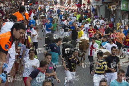 Sierlauf in San Sebastian de los Reyes