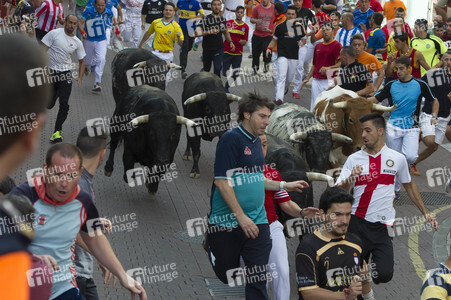 Sierlauf in San Sebastian de los Reyes