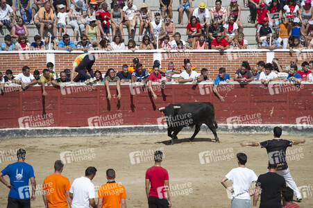 Sierlauf in San Sebastian de los Reyes
