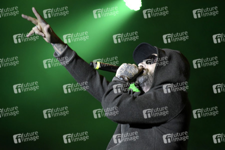 Stars For Free 2015 in Berlin
