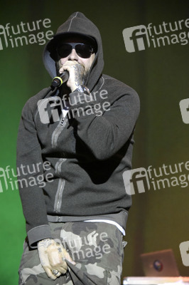 Stars For Free 2015 in Berlin