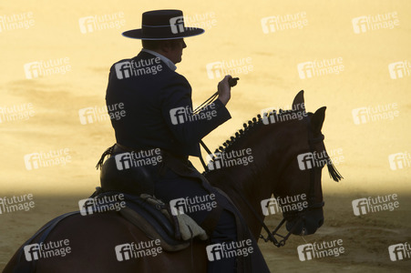Stierkampffestival in Alcalá de Henares