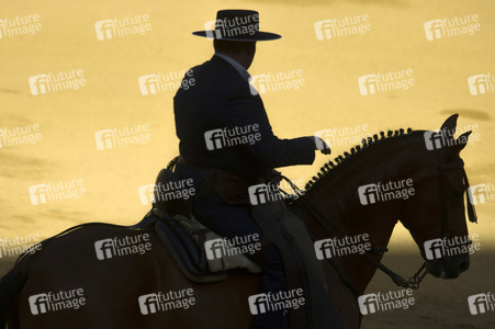 Stierkampffestival in Alcalá de Henares