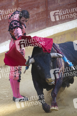 Stierkampffestival in Alcalá de Henares