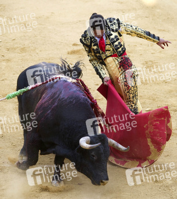 Stierkampffestival in Alcalá de Henares