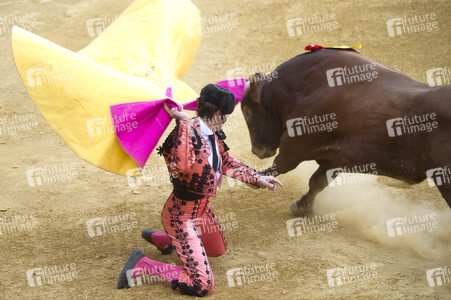 Stierkampffestival in Alcalá de Henares
