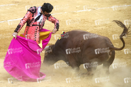 Stierkampffestival in Alcalá de Henares