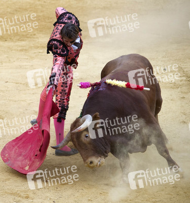 Stierkampffestival in Alcalá de Henares