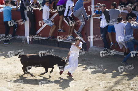 Stierlauf in San Sebastian de los Reyes