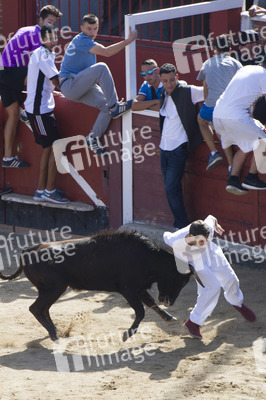 Stierlauf in San Sebastian de los Reyes