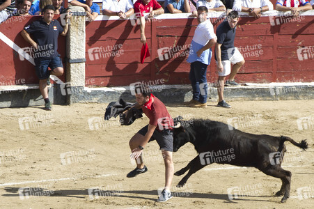 Stierlauf in San Sebastian de los Reyes
