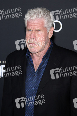 Filmpremiere 'Hand of God' in Berlin