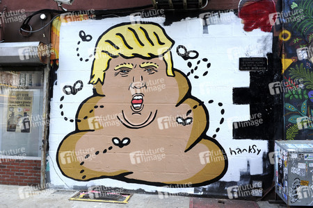 Donald Trump by Hanksy in New York
