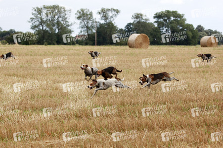 Usedom Cross Country 2015