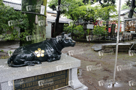 Sightseeing Tokio