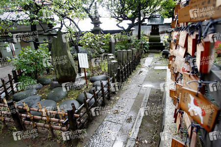 Sightseeing Tokio