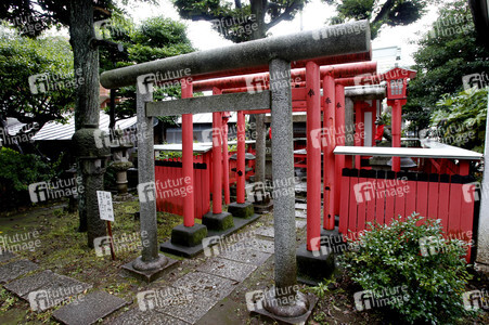 Sightseeing Tokio