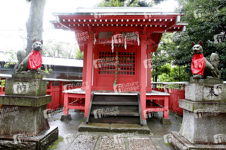 Sightseeing Tokio