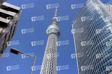 Sightseeing Tokio