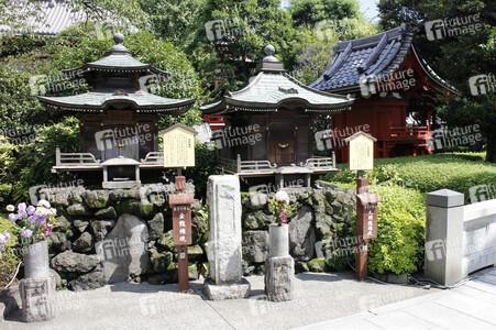Sightseeing Tokio