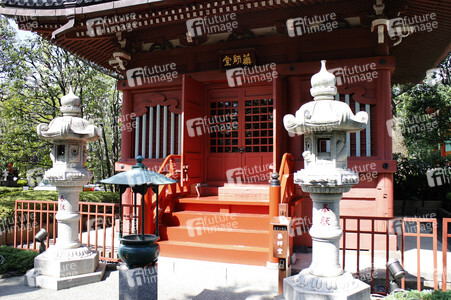 Sightseeing Tokio