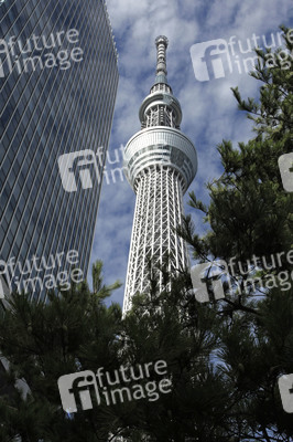 Sightseeing Tokio