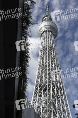 Sightseeing Tokio