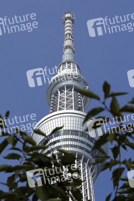 Sightseeing Tokio