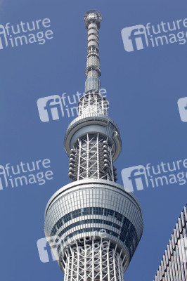 Sightseeing Tokio