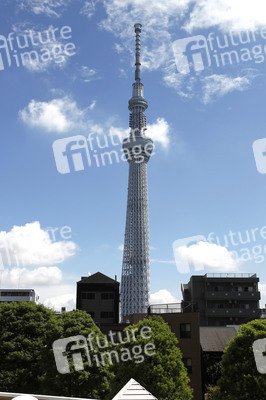 Sightseeing Tokio