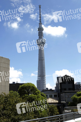 Sightseeing Tokio