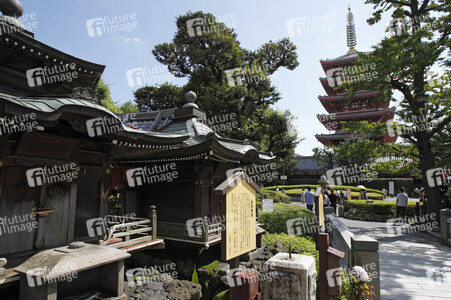 Sightseeing Tokio