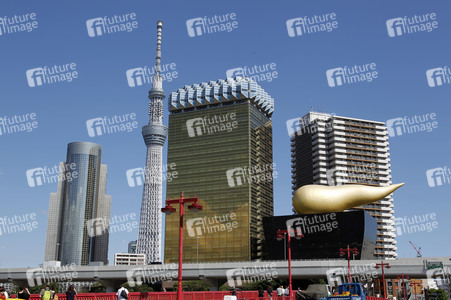 Sightseeing Tokio